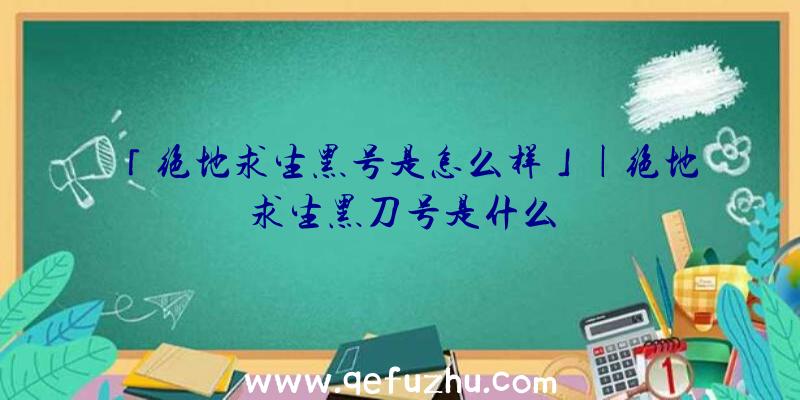 「绝地求生黑号是怎么样」|绝地求生黑刀号是什么